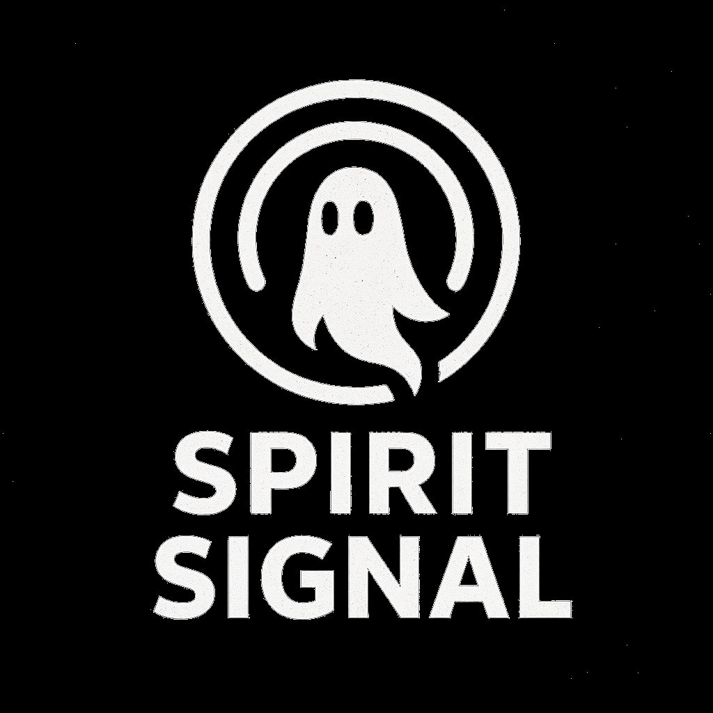 Ghost Hunting REM RADAR v2 Spirit Paranormal Equipment Detection BLUE + TEMP.