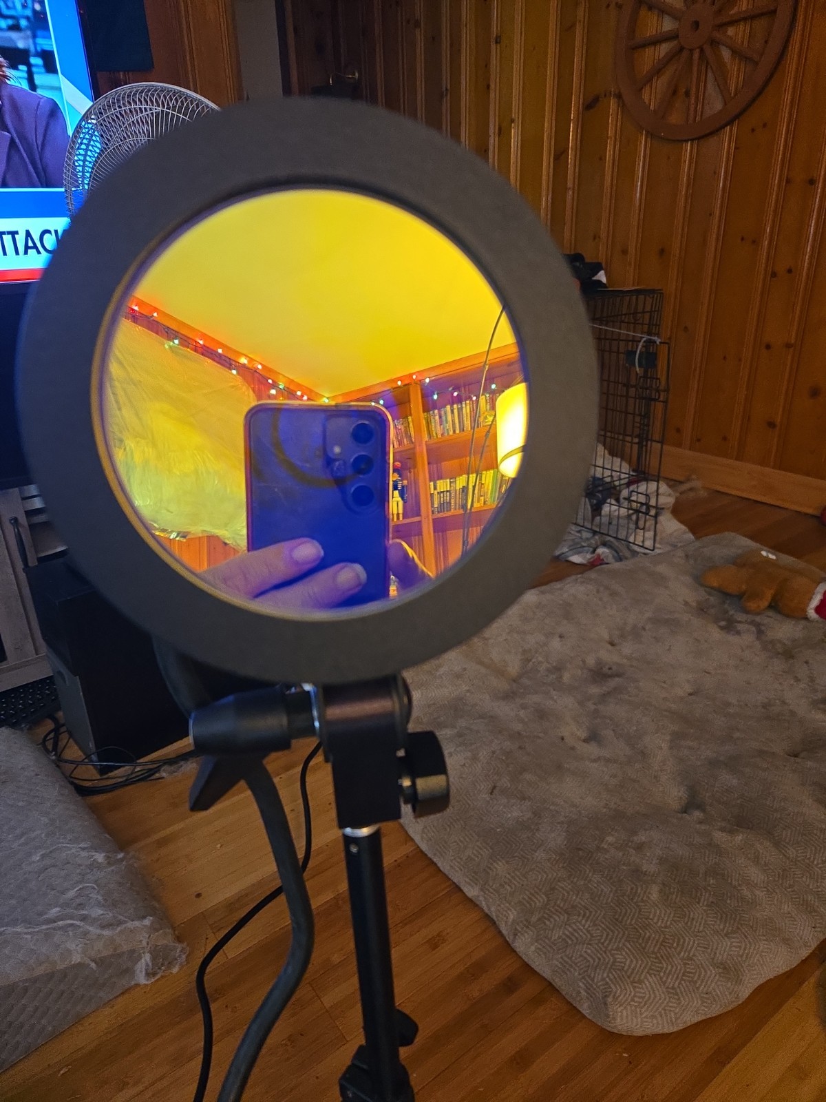 Foresight ALS Forensic Alternate Light Source w/ LightHawk Case – Tested